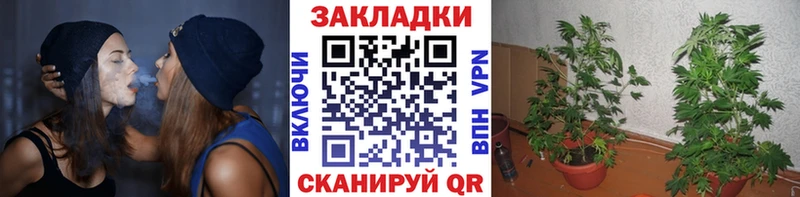 Магазины продажи наркотиков Изобильный Alpha PVP  Галлюциногенные грибы  Меф мяу мяу  ГАШ  COCAIN  АМФЕТАМИН 
