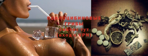 винт Алексин