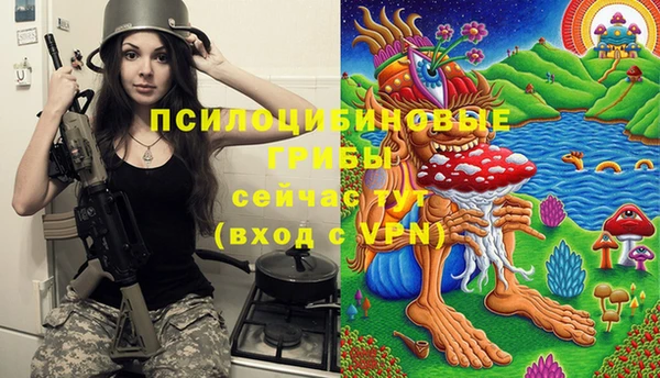 2c-b Алзамай