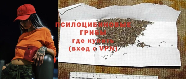 хмурый Алексеевка