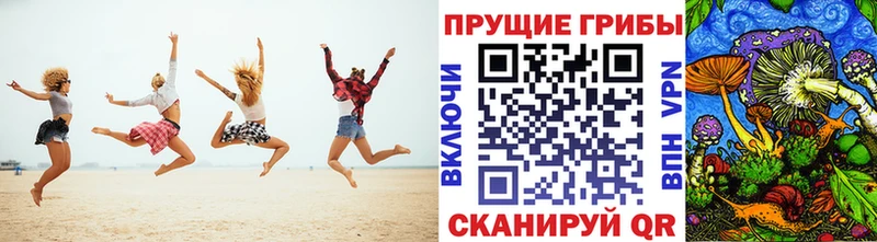 Галлюциногенные грибы MAGIC MUSHROOMS  площадка как зайти  Изобильный 